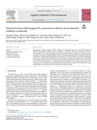 Xiaoxuan Wang — Interfacial electric field triggered N2 activation for efficient electrochemical synthesis of ammonia