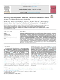 Chunliu Yan — Stabilizing intermediates and optimizing reaction processes with N doping in Cu2O for enhanced CO2 electroreduction