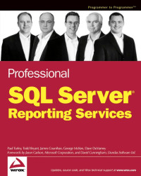 Paul Turley, Todd Bryant, James Counihan, George McKee, Dave DuVarney — Professional SQL Server Reporting Services