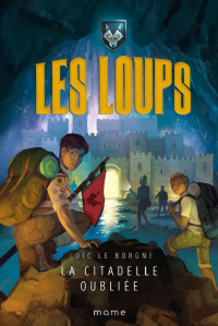 Loïc Le Borgne — Tome 3 - La citadelle oubliée