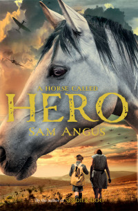 Sam Angus [Angus, Sam] — A Horse Called Hero