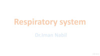 Imam Nabil — Respiratory System