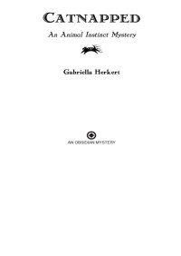 Gabriella Herkert — Catnapped