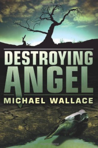 Wallace, Michael — Destroying Angel (Righteous Book 5)