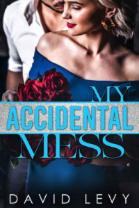 David Levy  — My Accidental Mess