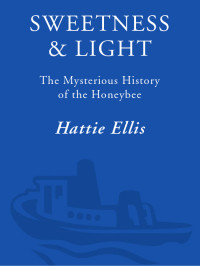 Hattie Ellis — Sweetness and Light