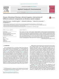 Sahar Chitsazan & Soodeh Sepehri & Gabriella Garbarino & Maria M. Carnasciali & Guido Busca — Steam reforming of biomass-derived organics: Interactions of different mixture components on Ni/Al2O3 based catalysts