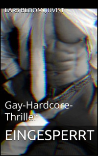 Lars Bloomquvist — Eingesperrt: Gay-Hardcore-Thriller