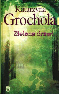 Zielone drzwi — Grochola Katarzyna