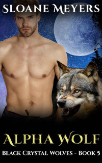 Sloane Meyers — Black Crystal Wolf Shifters 05.0 - Alpha Wolf