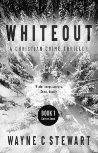 Wayne C Stewart — Whiteout: A Christian Crime Thriller