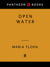 Maria Flook — Open Water