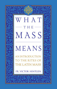 Hintgen, Victor; — What the Mass Means