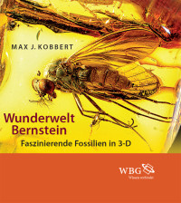 Max J. Kobbert; — Wunderwelt Bernstein