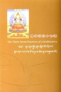 Khenpo Tsultrim Gyamtso Rinpoche — 佛子行三十七頌