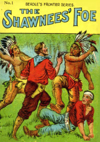 Unknown — Beadle's Frontier Series #1 (1908)