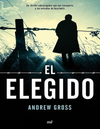 Andrew Gross — El Elegido