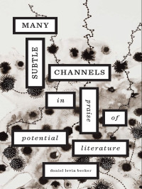 Levin Becker, Daniel — Many Subtle Channels : In Praise of Potential Literature (9780674069626)