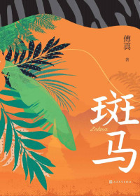 傅真 — 斑马（《藏地白皮书》作者暌违七年全新力作；首部长篇；两座城市、3200公里的治愈之旅；12万书友推荐，微博话题42万+）