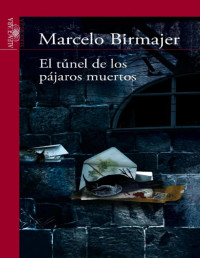 Marcelo Birmajer [Birmajer, Marcelo] — El túnel de los pájaros muertos