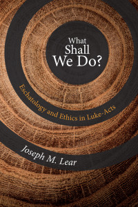 Joseph M. Lear; — What Shall We Do?