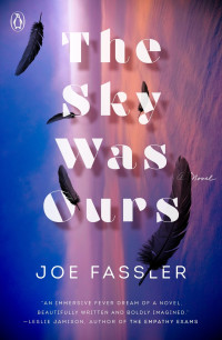 Joe Fassler — The Sky Was Ours