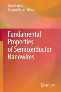 Naoki Fukata, Riccardo Rurali — Fundamental Properties of Semiconductor Nanowires