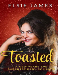 Elsie James — Toasted: A New Years Eve Surprise Baby Romance (Tiding Family Holidays Book 2)