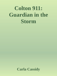 Carla Cassidy — Colton 911: Guardian in the Storm