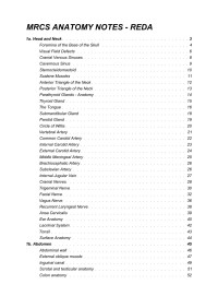 Mohamed Reda — MRCS Anatomy Notes