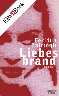 Zaimoglu, Feridun [Zaimoglu, Feridun] — Liebesbrand