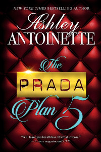 Ashley Antoinette — The Prada Plan 5