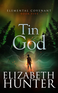 Elizabeth Hunter — Tin God
