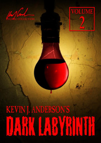 Kevin J. Anderson — Dark Labyrinth 2