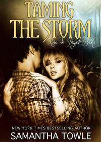 Samantha Towle — Taming the storm (The storm 3)