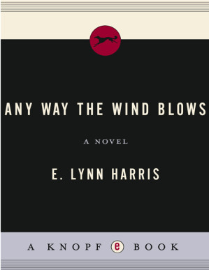 Any Way The Wind Blows A Novel Archives D Anna