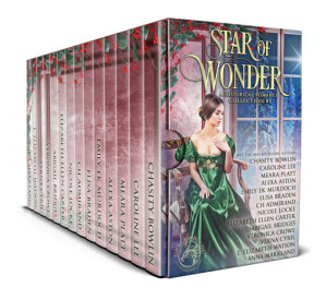 Star of Wonder (2021 Holiday Romance Collection #1) | Chasity Bowlin ...